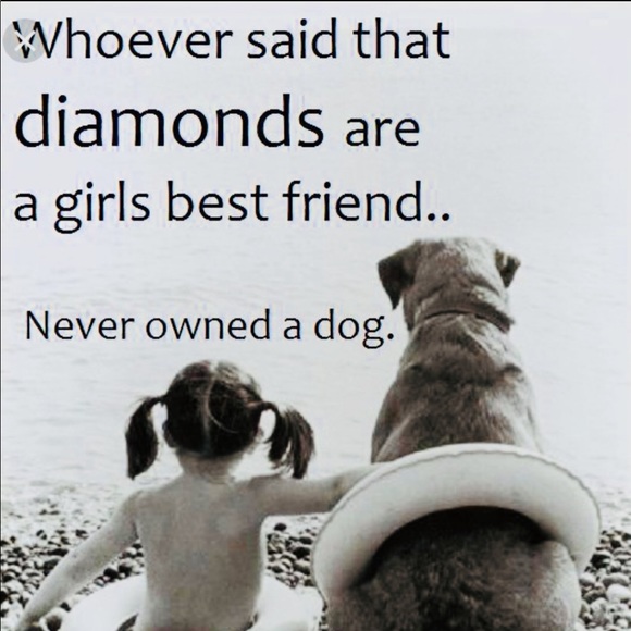 Meet your Posher, C - Picture 7 of 8